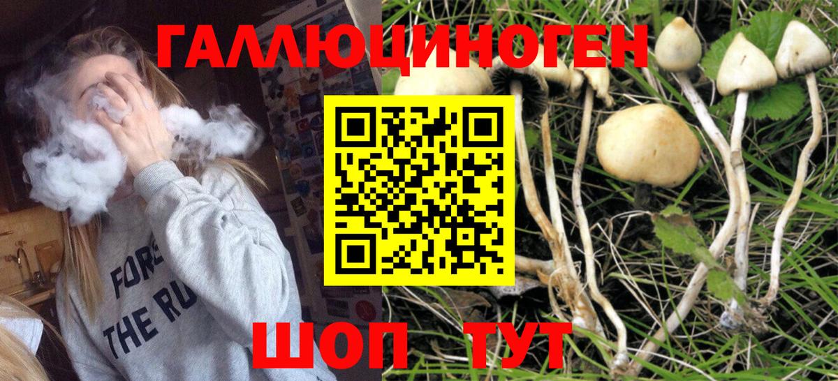 Галлюциногенные грибы Psilocybe  Псилоцибиновые грибы MAGIC MUSHROOMS  Вход с VPN  что такое   Наро-Фоминск 